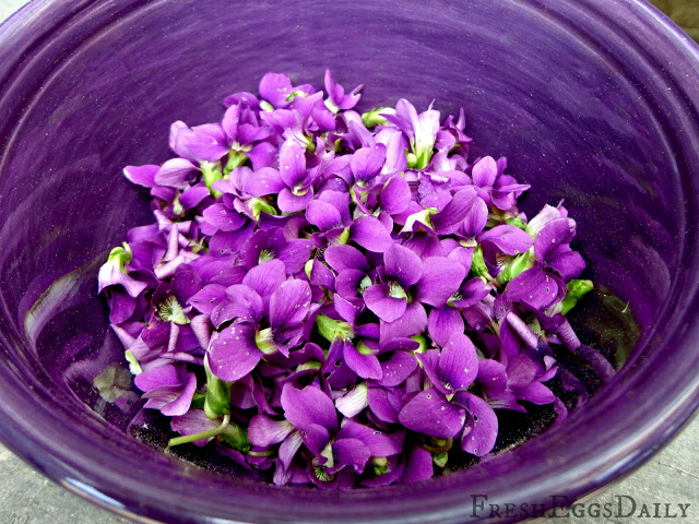 bowl-of-violets